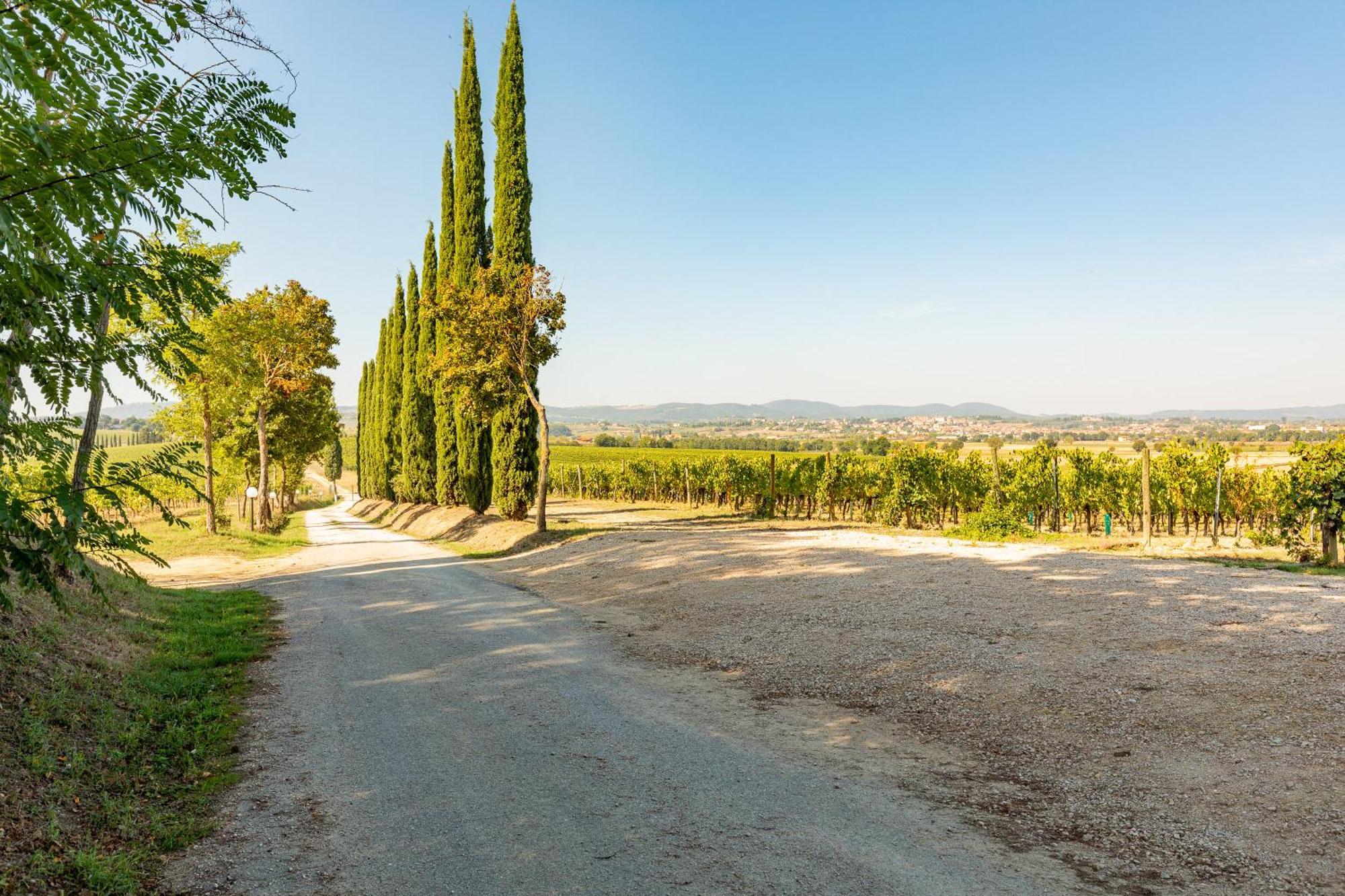 Appartamento Greppino Montepulciano Exterior foto