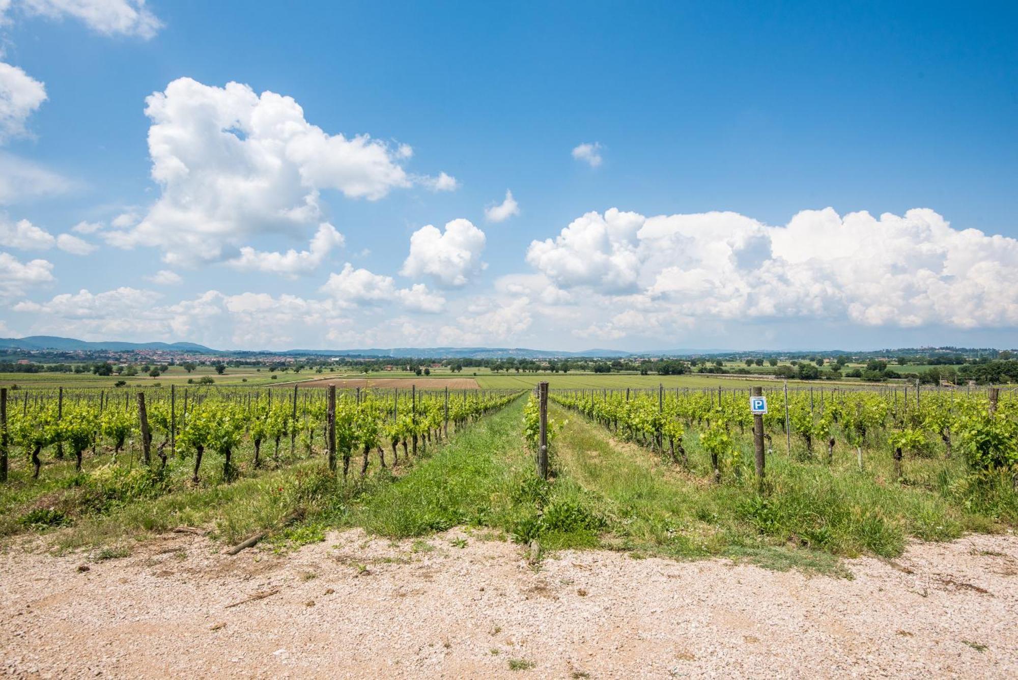 Appartamento Greppino Montepulciano Exterior foto